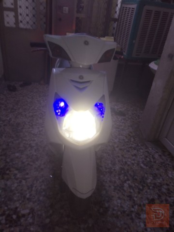 سكنس فحل نظيف مستعمل للبيع في بغداد