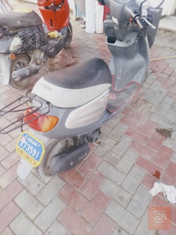 دراجة منغولي أم السلة سلف مستعمل للبيع في كربلاء المقدسة