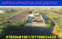 مزرعة في الرمادي بإطلالة على النهر جديد للبيع في الأنبار