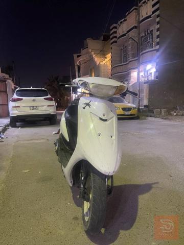 دراجة ستين عصفورية فحل مستعمل للبيع في بغداد