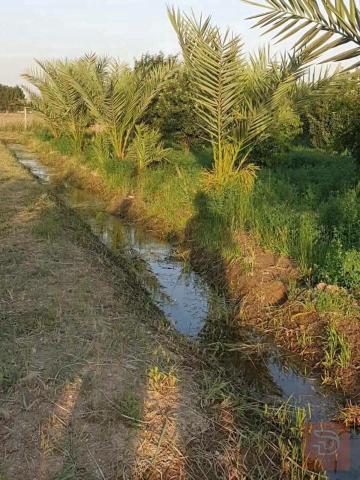 أرض ركن على النهر طابو سند 25