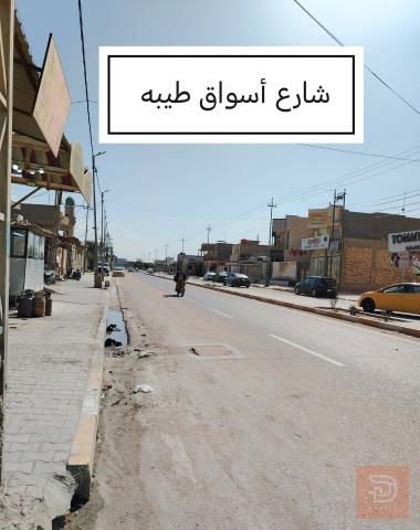 دار طابو صرف مساحة 250 متر للبيع في الديوانية