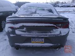جارجر GT 2019 كندية للبيع في ذي قار