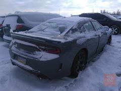 جارجر GT 2019 كندية للبيع في ذي قار