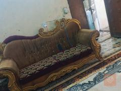 تخم عراقي ملكي للبيع في بغداد