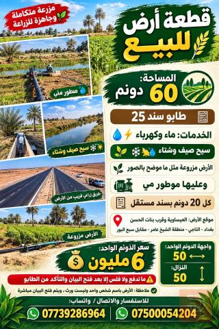 قطعة أرض زراعية 60 دونم في التاجي للبيع في بغداد