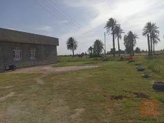 بيت في منطقة البوخليفة للبيع في الأنبار