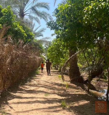 بستان 3 دوانم ونصف مع غرفة ومولدة في ديالي