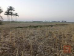 أرض زراعية في الرمادي - ناحية اليرموك 3 دونم للبيع في الأنبار