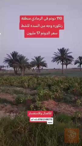 ارض 110 دونم بالرمادي على الشط للبيع في الأنبار