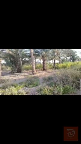 دونم أرض طابو سند ٢٥ للبيع في الأنبار