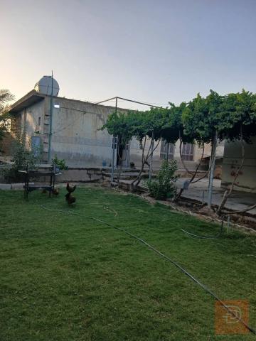 مزرعة مرتبة في الصكلاوية 720 متر للبيع في الأنبار
