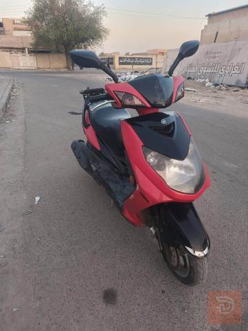 دراجة سكنس فحل نوزل مستعمل للبيع في بغداد
