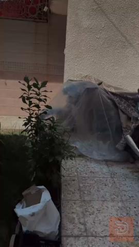 دراجة سيفان ٢٦ برتقالي color للبيع في ديالى