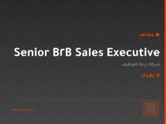 Senior B2B Sales Executive — بغداد