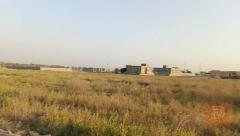 دونم أرض زراعي في الرمادي للبيع في الأنبار