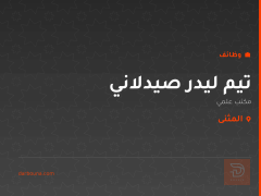 تيم ليدر صيدلاني — المثنى