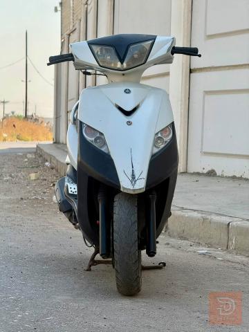ماكس ثلعب الأبيض الصدفي ابيض صدفي للبيع في بغداد
