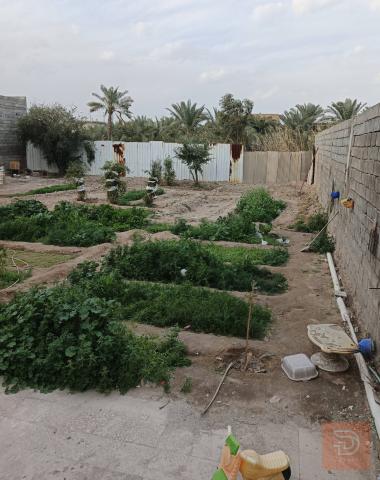 دار سكن طابقين مع أرض مزروعة للبيع في البصرة