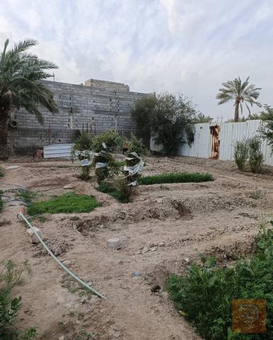 دار سكن طابقين مع أرض مزروعة للبيع في البصرة