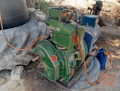 مولدة هندية 10 حصان جديدة للبيع في بابل