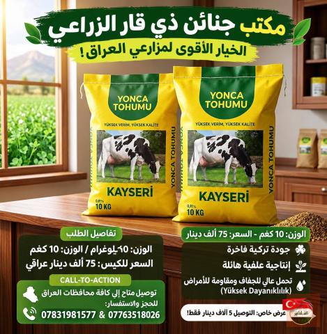تركيا بذور جت تركية 10 كغم للبيع في ميسان