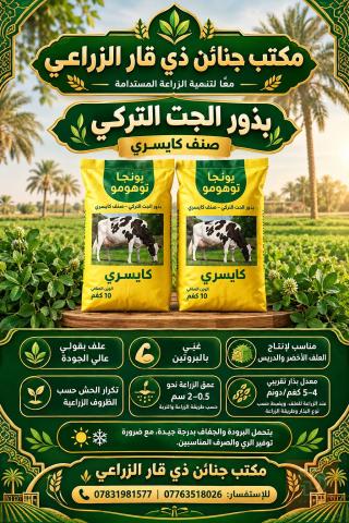 تركيا بذور جت تركية 10 كغم للبيع في ميسان