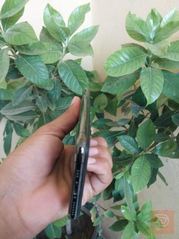 ايفون xs ذاكرة 256