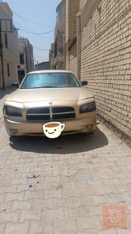 جاجر بكرات مكفولة مستعمل للبيع في بغداد