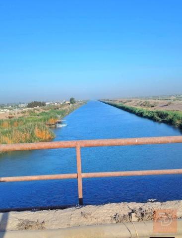 4 دونم أرض زراعية في الشيخ عامر التاجي للبيع في بغداد