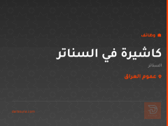 كاشيرة في السناتر — عموم العراق