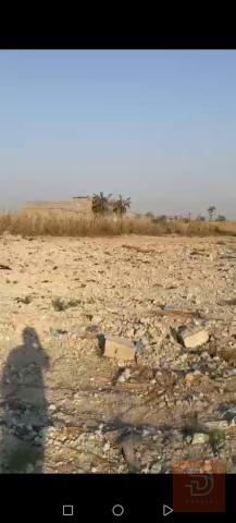 أرض زراعية في أبو الخصيب 3 الاف متر للبيع في البصرة