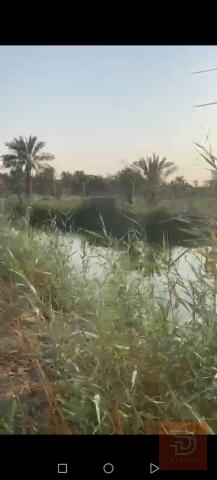أرض زراعية في أبو الخصيب 3 الاف متر للبيع في البصرة
