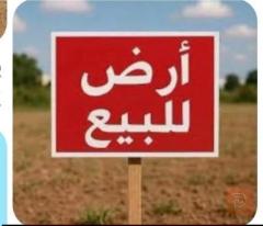 قطعة أرض في حي المهندسين 200 م للبيع في الأنبار