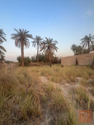 بستان مطل على نهر مع بيت صغير للبيع في ديالى