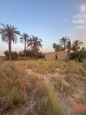 بستان مطل على نهر مع بيت صغير للبيع في ديالى