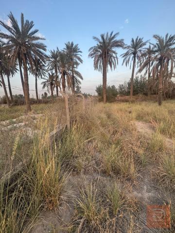 بستان مطل على نهر مع بيت صغير للبيع في ديالى