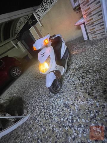 سكنس فحل كابريتر جاهز للبيع في بغداد