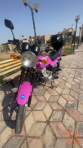 ديوان عضم 2024 للبيع في بغداد