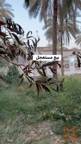 قطعة أرض ٤٠٠ متر تقريباً للبيع في كربلاء المقدسة