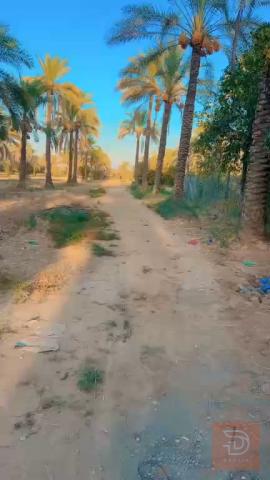 دوانم في منطقة الراشدية للبيع في بغداد