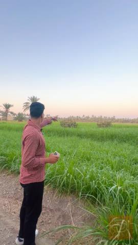 دار تجاري بمساحة 1600 متر للبيع في بابل