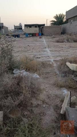 قطعة أرض طابو زراعي 260 متر بحي المختار للبيع في الأنبار