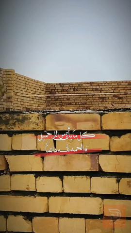 عامل بناء طابوق وبلوك — عموم العراق