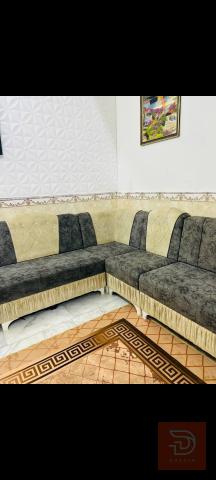 تخم 10 نفرات للبيع في واسط