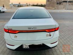 بوادي كن بلا much/الكن بلاص 2025 للبيع في صلاح الدين