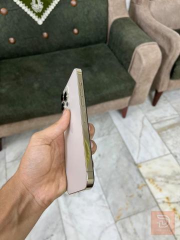ابل ايفون 13 برو ماكس ذاكرة 256 ذهبي للبيع في بغداد
