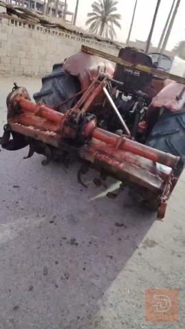 كابوتة ينمر للبيع في بغداد