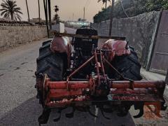 كابوتة ينمر للبيع في بغداد