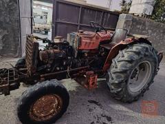 كابوتة ينمر للبيع في بغداد